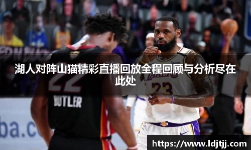 湖人对阵山猫精彩直播回放全程回顾与分析尽在此处