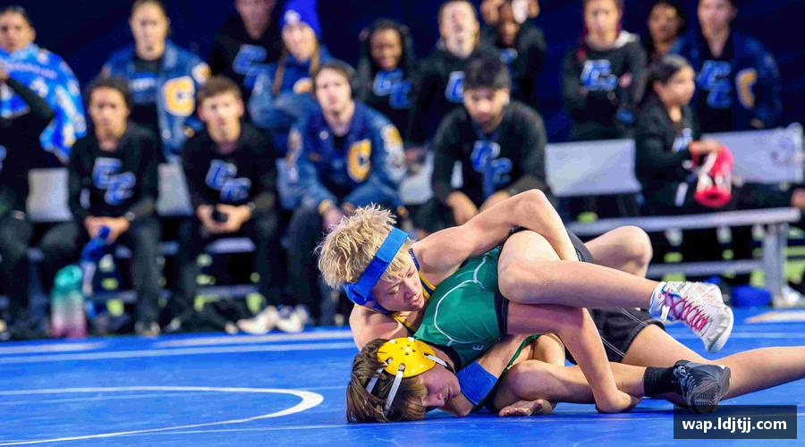 感受挑战，享受成长